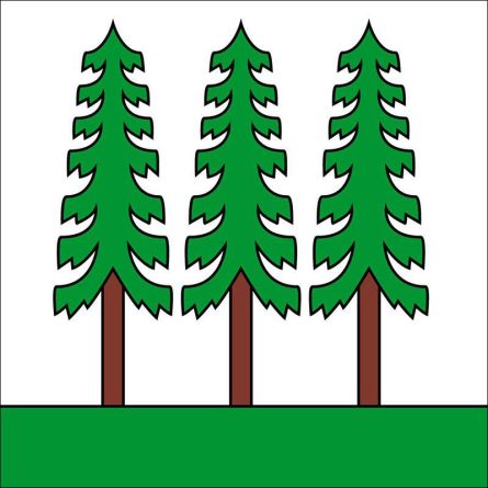 Wald ZH